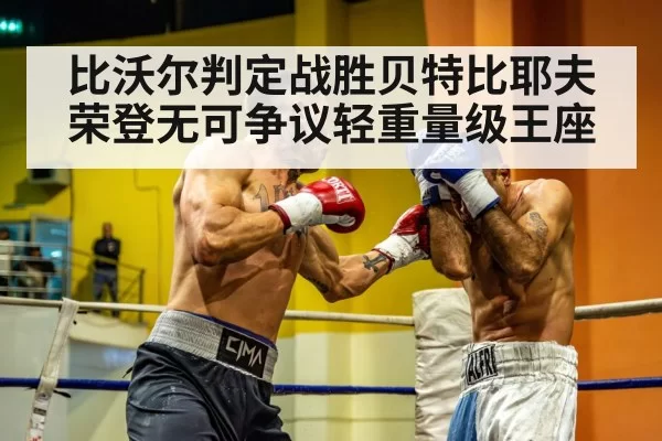 light heavyweight boxing
